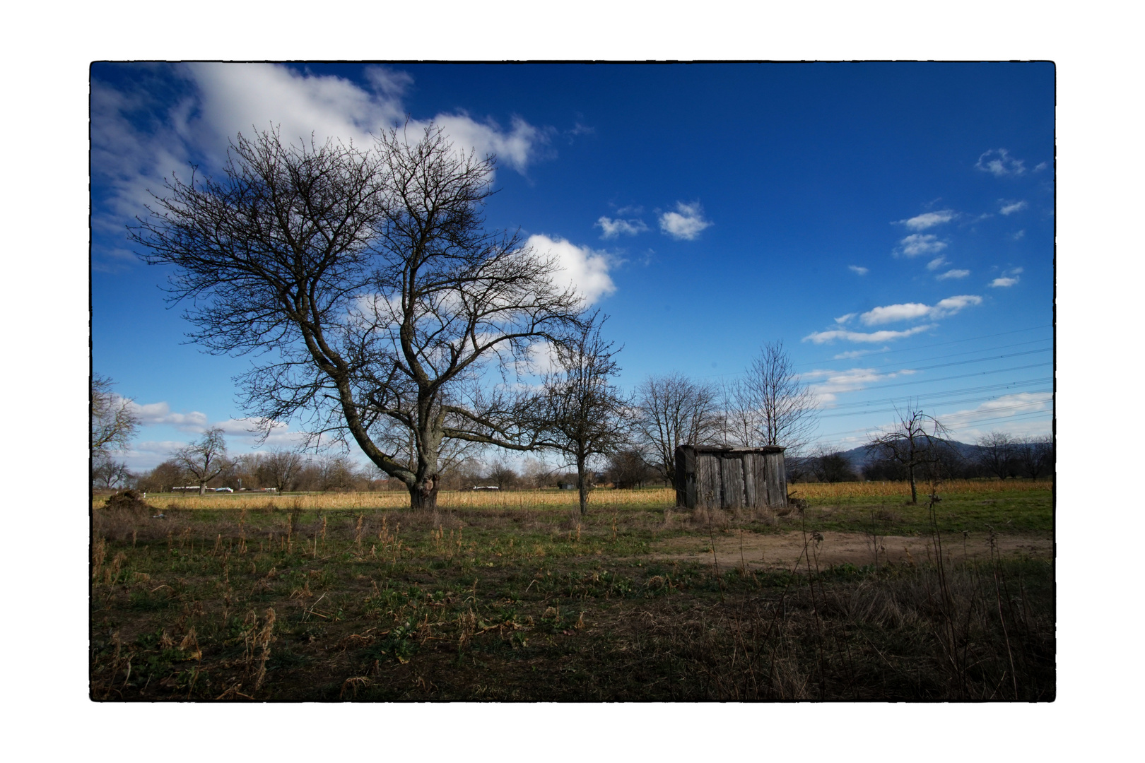 blue sky