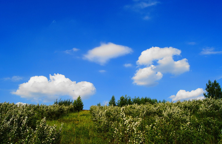 Blue sky