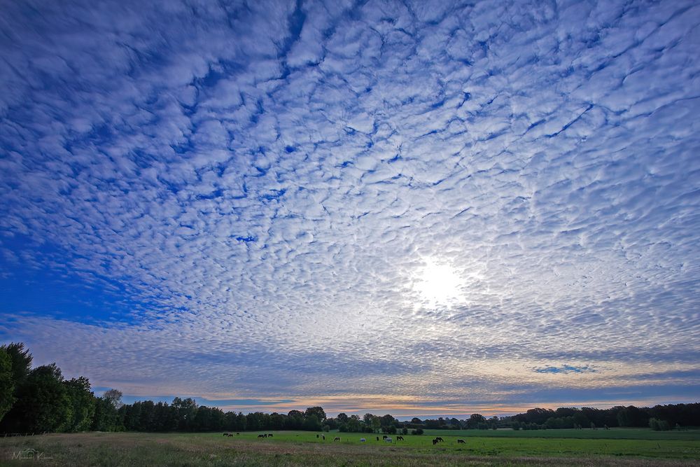 blue sky