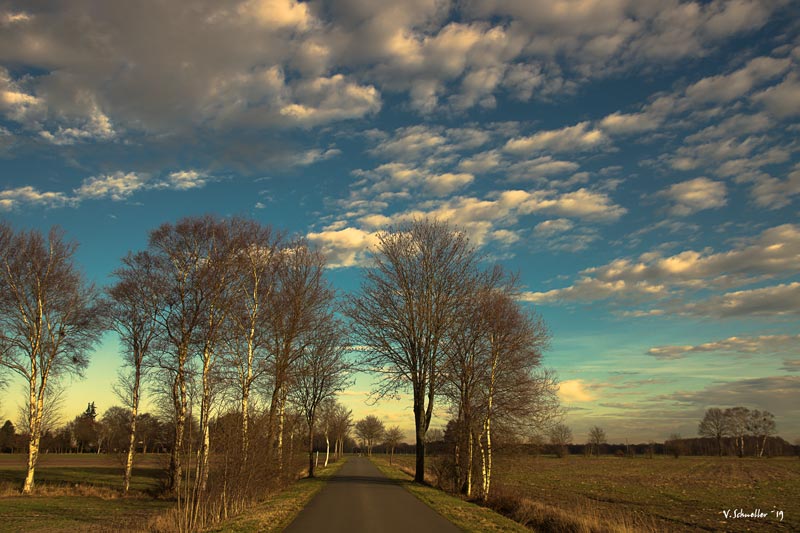 ~ Blue Sky ~