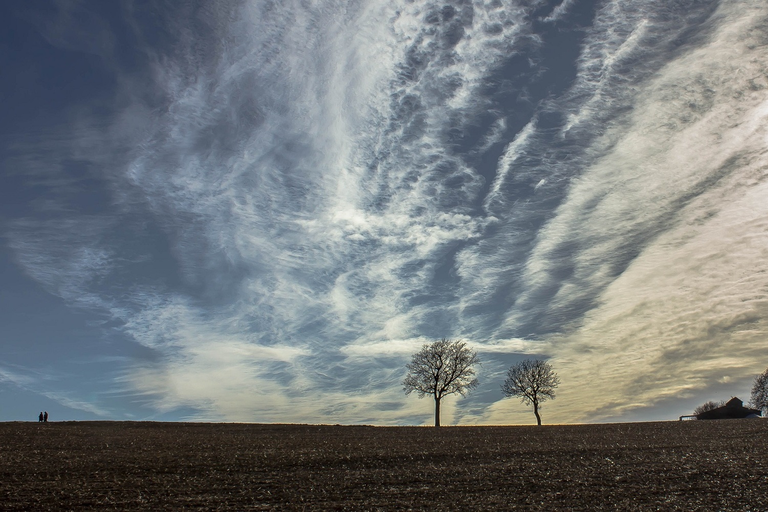 Blue Sky