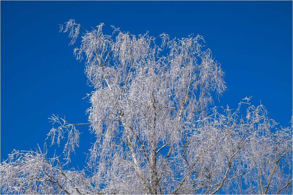 BLUE SKY