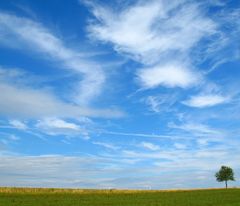 Blue Sky