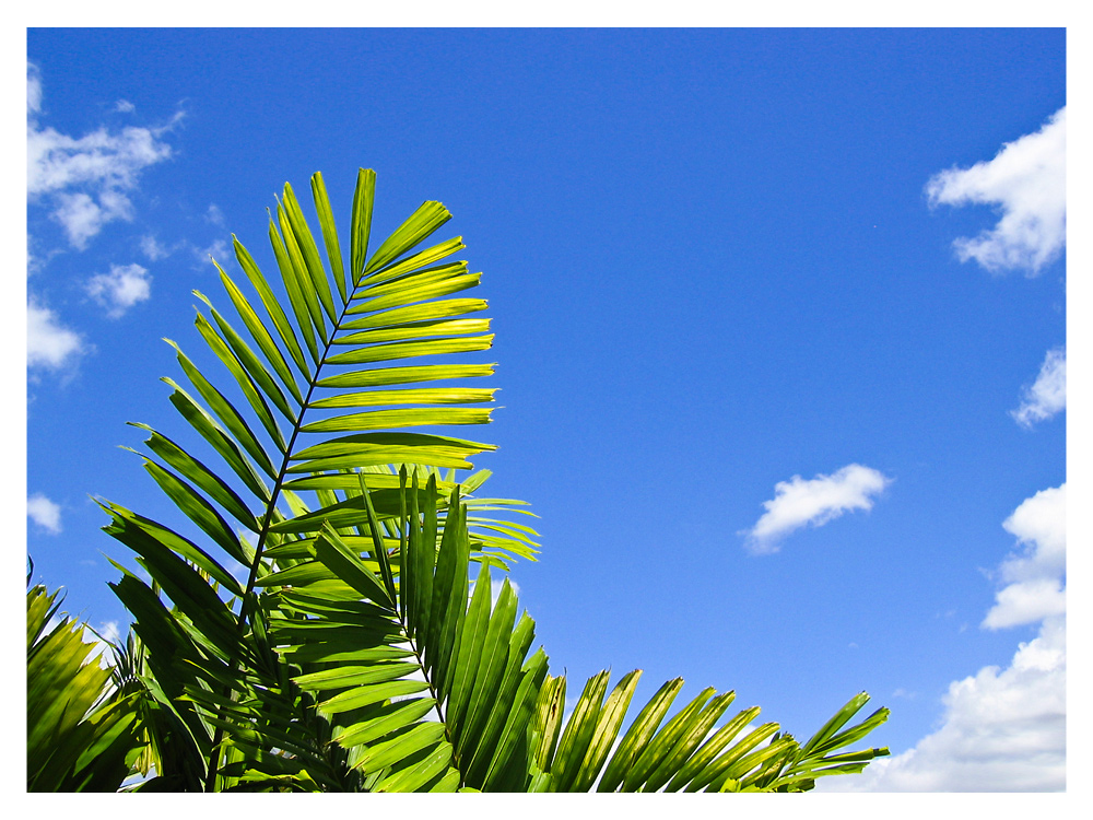 Blue Sky - Australia 2003