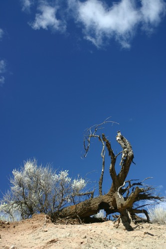 Blue Sky @ Canandian Desert