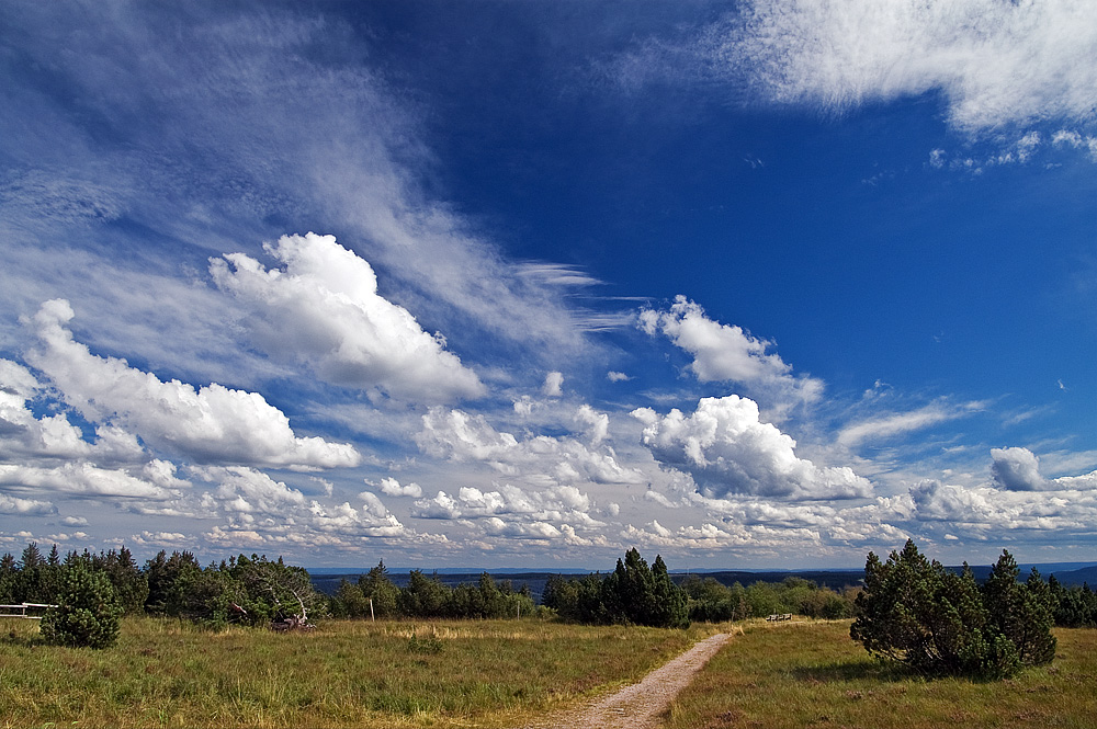 Blue Sky