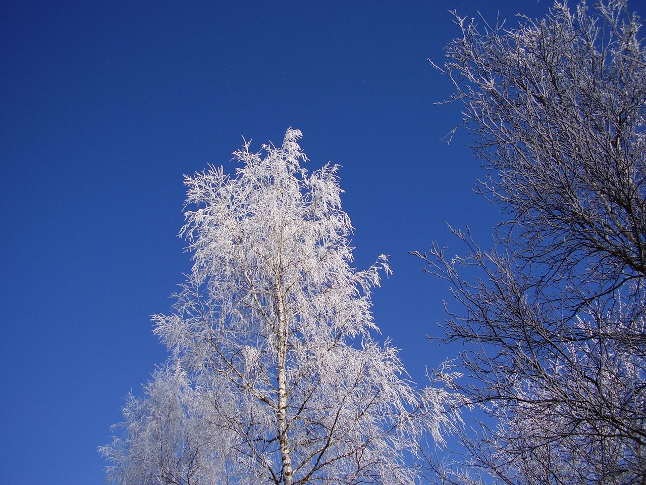 blue sky