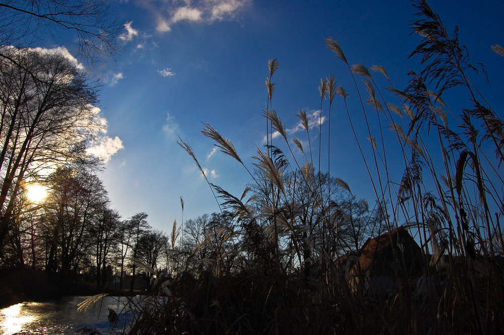 Blue Sky von Saiigal 