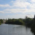 Blue Sky.. Green Trees.. And The London Eye..
