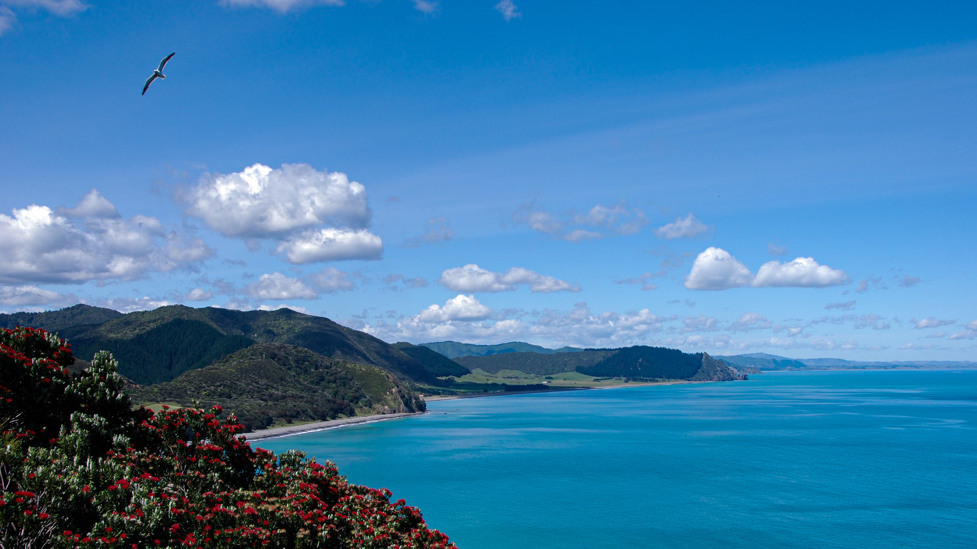 BLUE SKY HIGHWAY