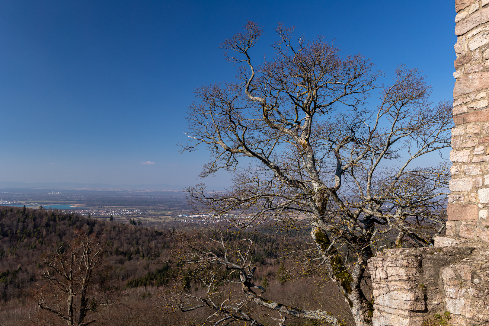 Blue Sky I