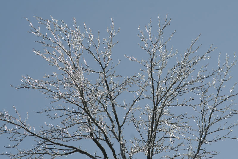 Blue Sky Ice