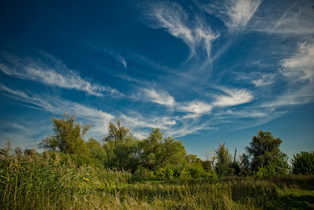 Blue Sky (II)