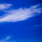 Blue Sky mit Flieger