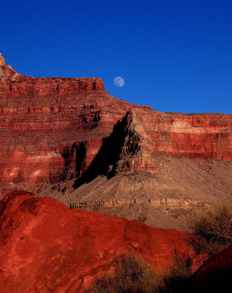 Blue Sky Moon