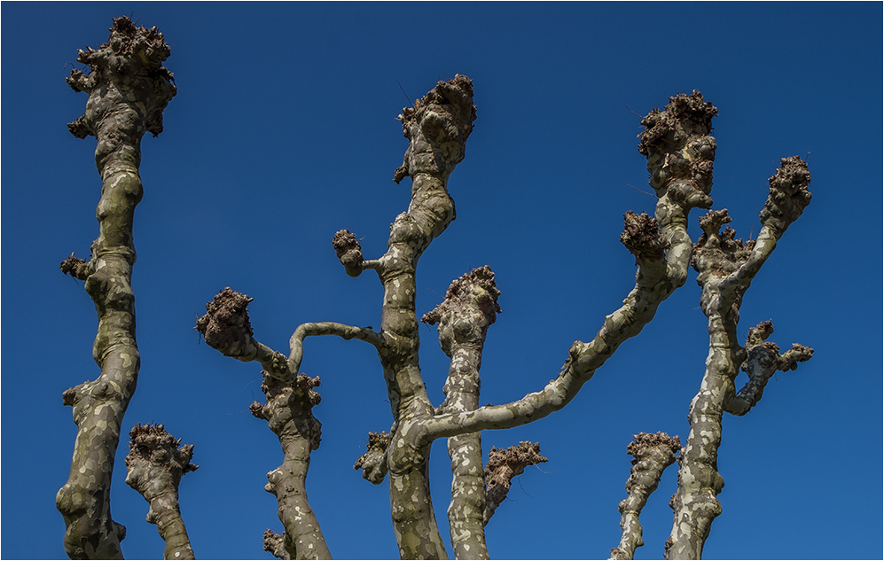 Blue sky today...