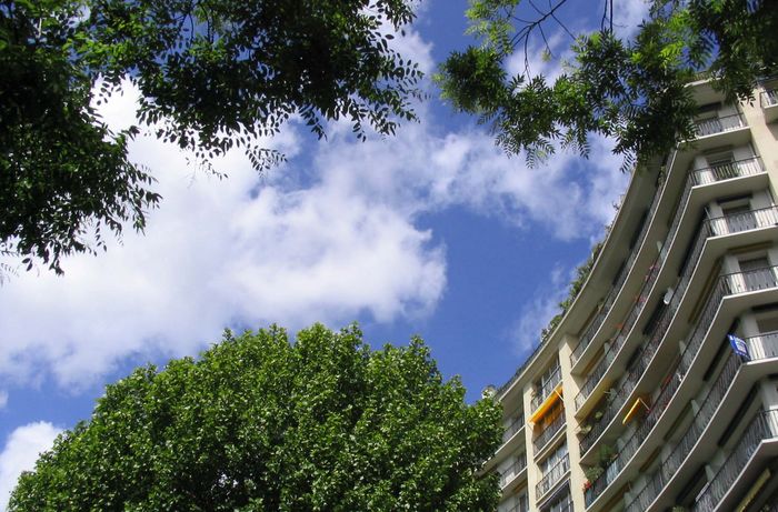 blue sky white cloud , tree and building