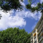 blue sky white cloud , tree and building