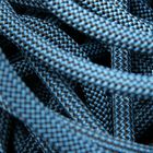 blue snake