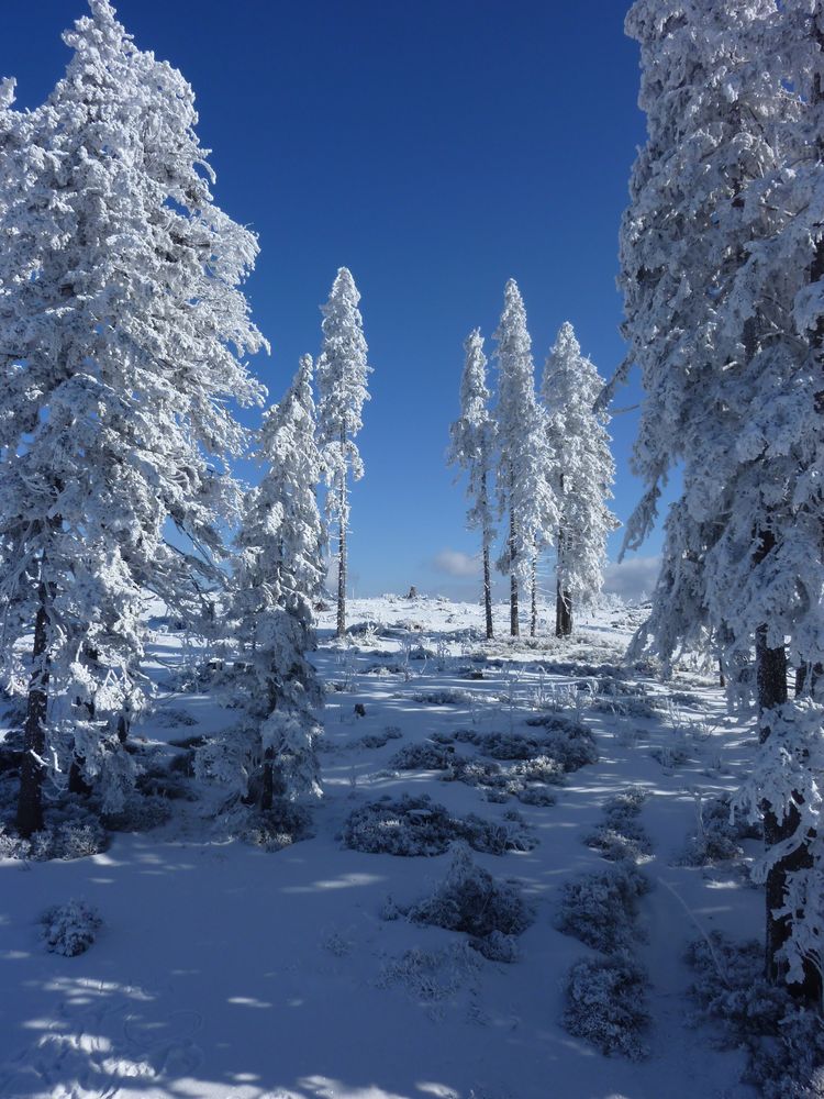 blue Snow