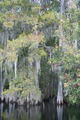 Blue Sping State Park 2