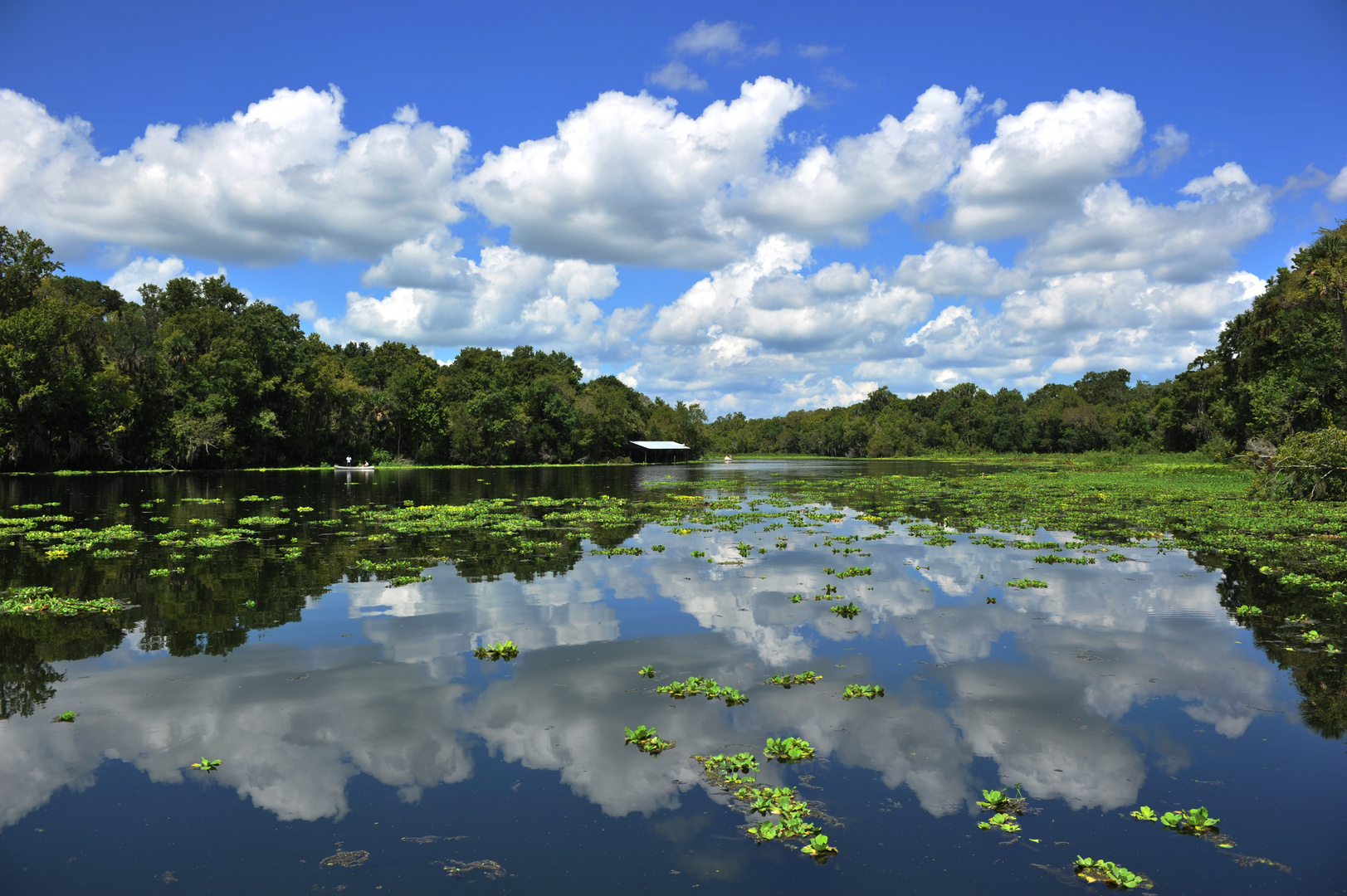 Blue Spring State Park Fl.