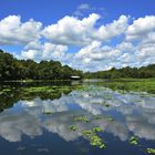 Blue Spring State Park Fl.