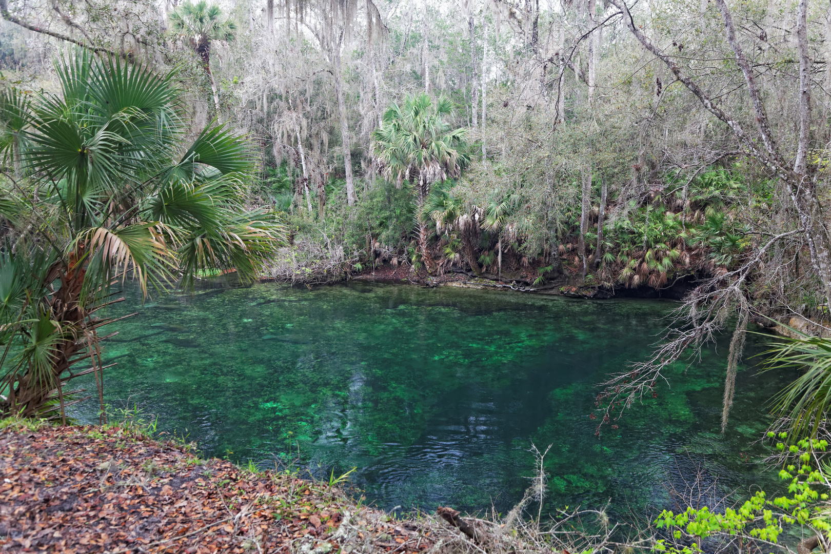 Blue Spring Statepark