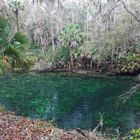 Blue Spring Statepark