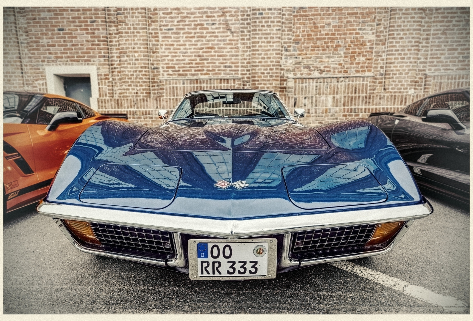 Blue Stingray