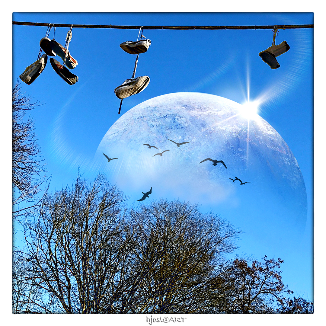 blue-suede-shoes-foto-bild-fotos-spezial-schuhe-bilder-auf