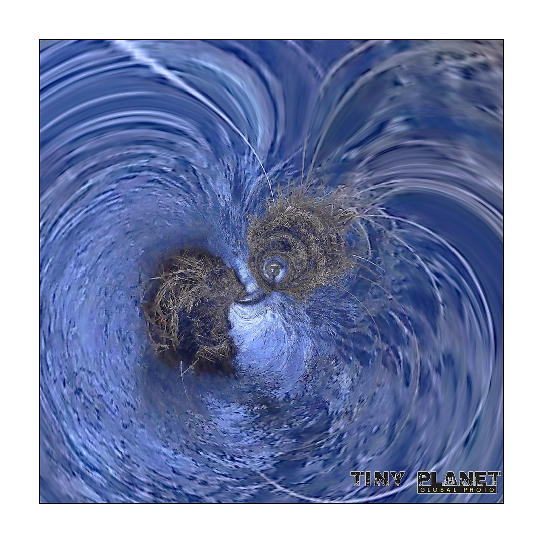 Blue swirl