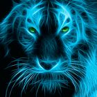 Blue Tiger