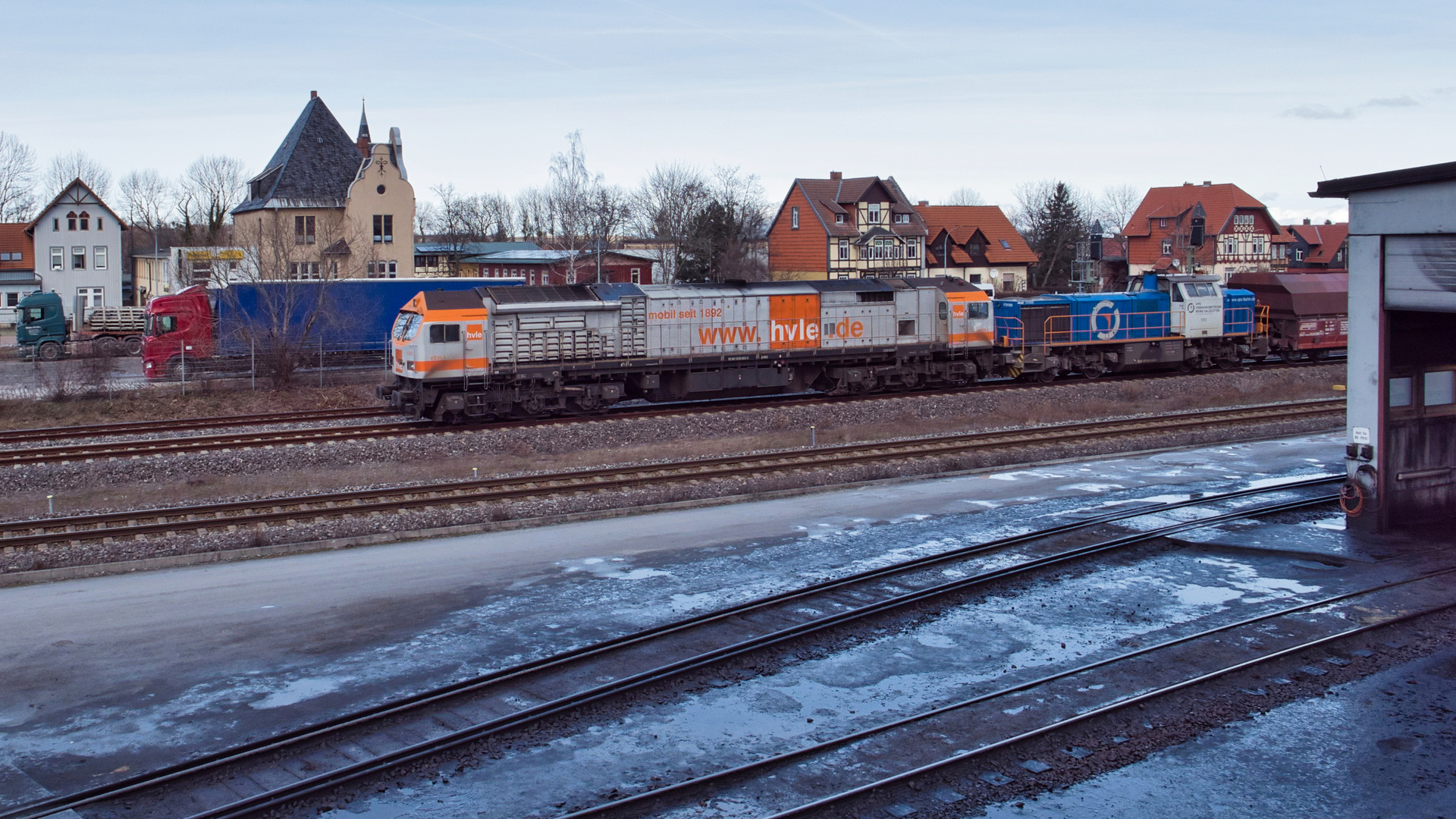 Blue Tiger in Wernigerode