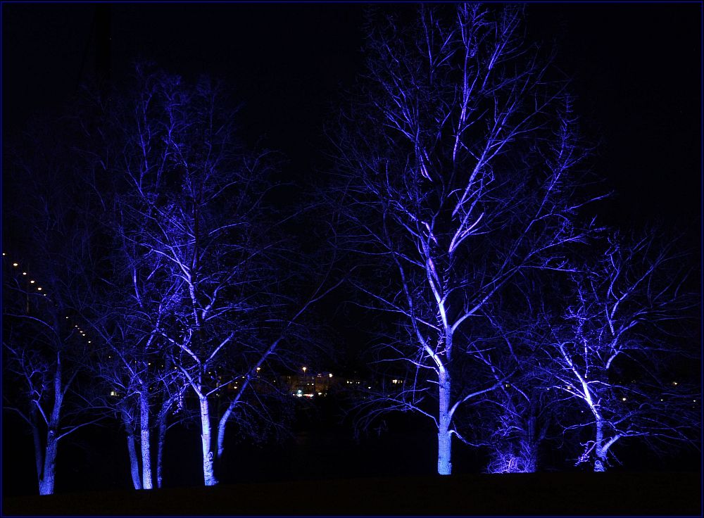 Blue Tree Group