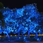 Blue Tree in the Tropics