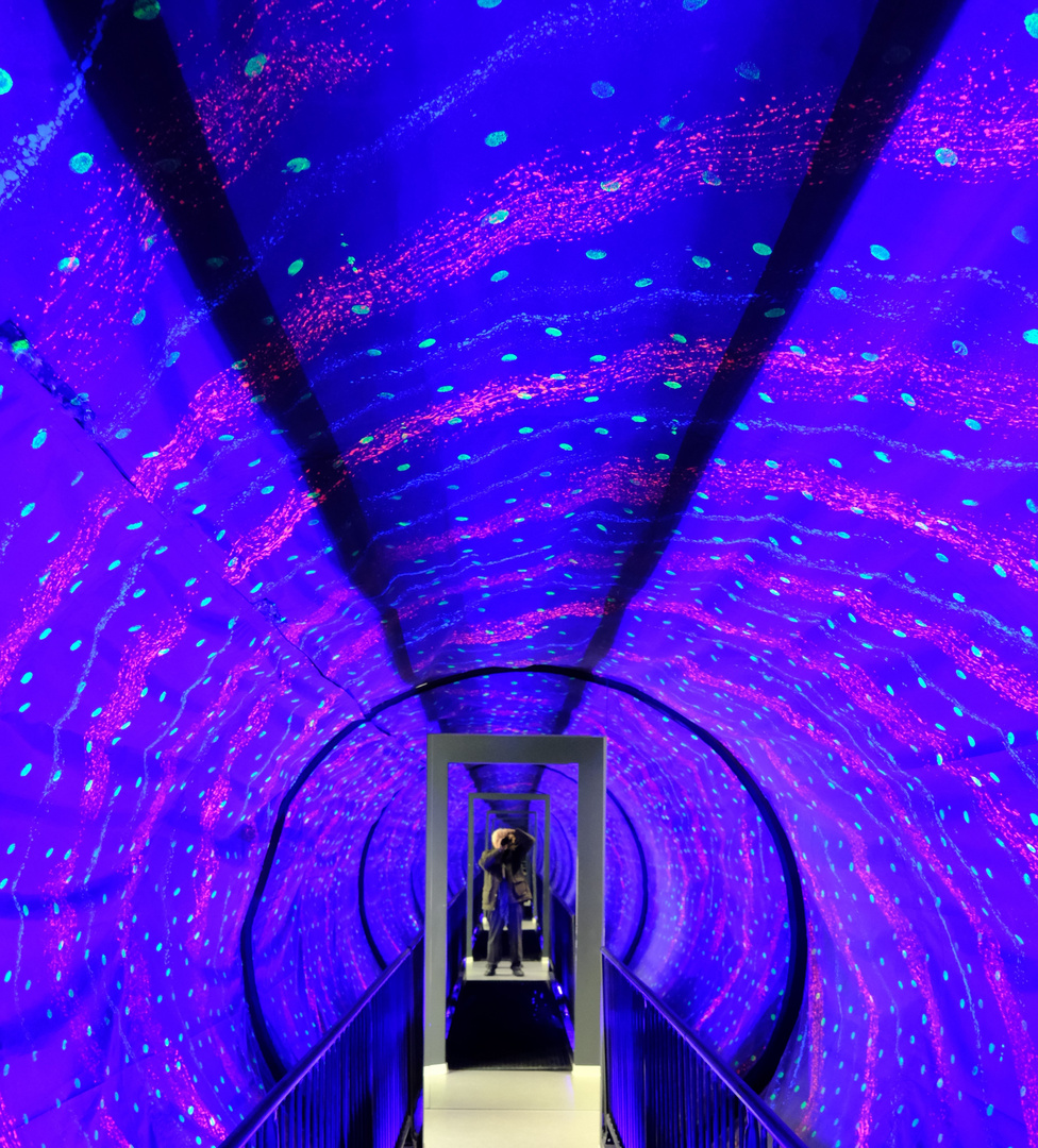Blue Tube 