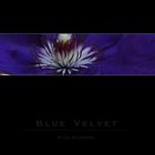 Blue Velvet