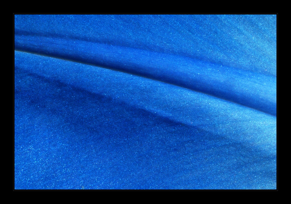 blue velvet II