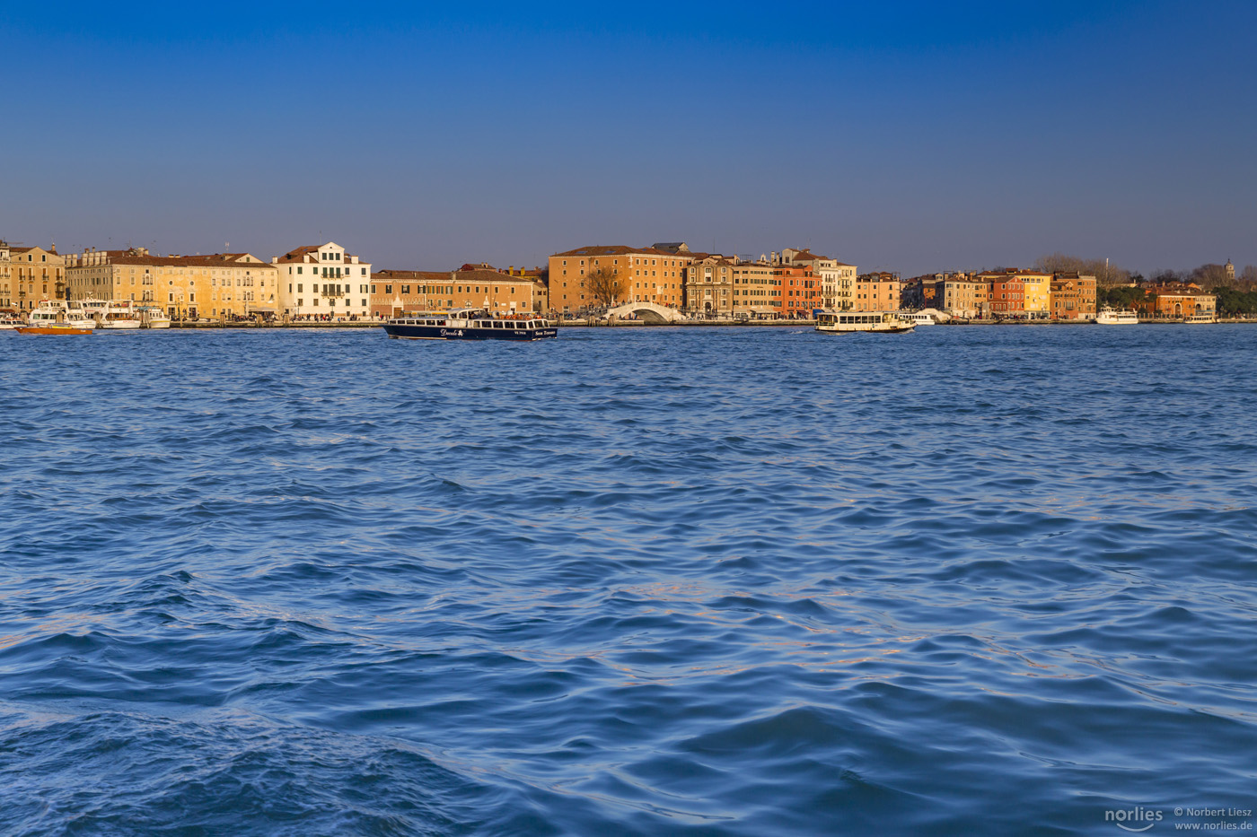 blue venice