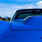 Blue Vette