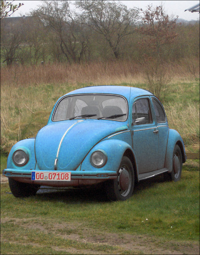 Blue VW-