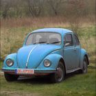 Blue VW-