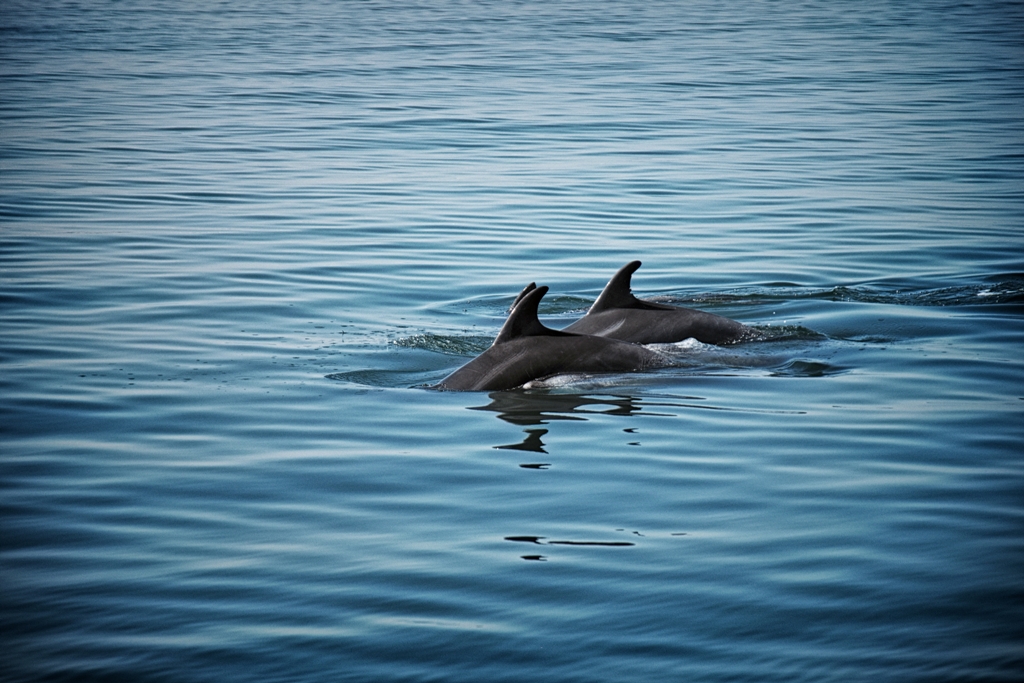 blue water