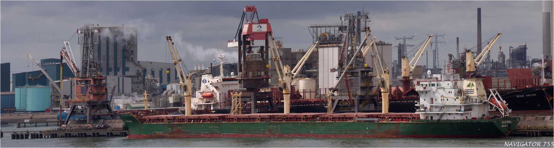 BLUE WING /Bulk Carrier / Rotterdam / Bitte scrollen!