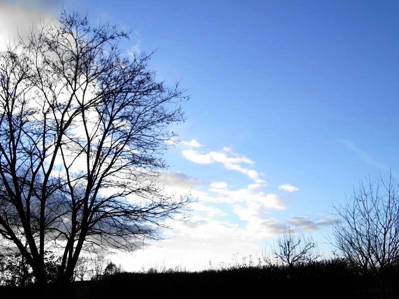 Blue Winter Sky