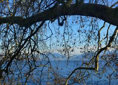 Blue Zürichsee