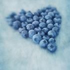 blueberry love