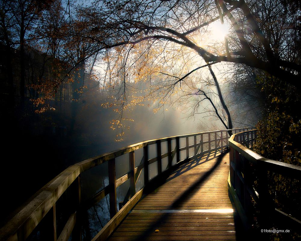 Blücke im Nebel