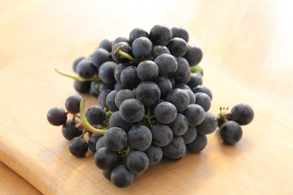 blue_grapes